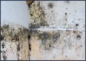 Boynton Beach Water Damage Boynton Beach, FL 561-320-4044 Boynton Beach Water Damage Boynton Beach, FL 561-320-4044