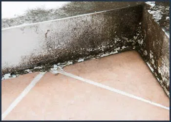 Boynton Beach Water Damage Boynton Beach, FL 561-320-4044 - cont-img-mold