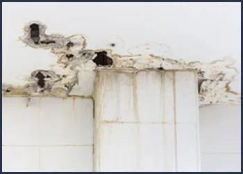 Boynton Beach Water Damage Boynton Beach, FL 561-320-4044